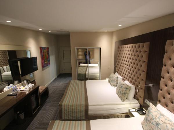Ankara Gold Hotel : photo 3 de la chambre chambre double ou lits jumeaux
