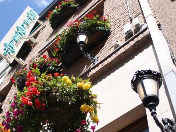 Logies Ocelot : photo 1 de la chambre chambre double ou lits jumeaux confort avec douche