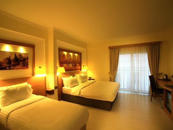 Beyoglu MLS Hotel : photo 1 de la chambre chambre deluxe