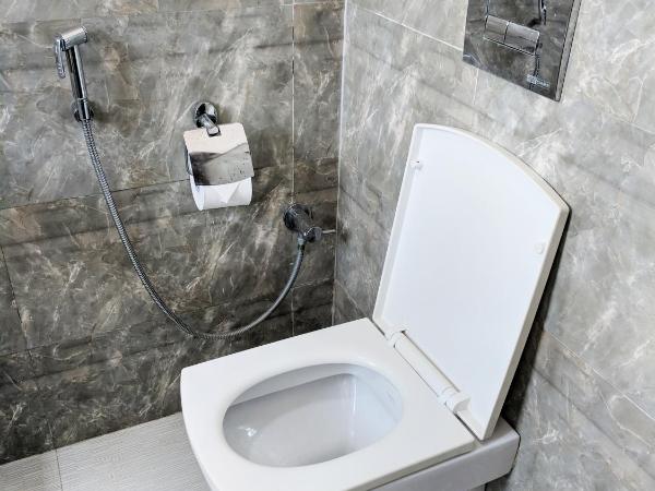 Clyford Suites : photo 7 de la chambre appartement deluxe