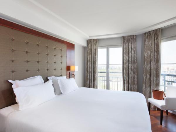 Relais Spa Chessy Val d'Europe : photo 2 de la chambre suite exécutive en duplex