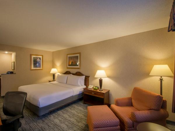 Holiday Inn Arlington at Ballston, an IHG Hotel : photo 1 de la chambre chambre standard