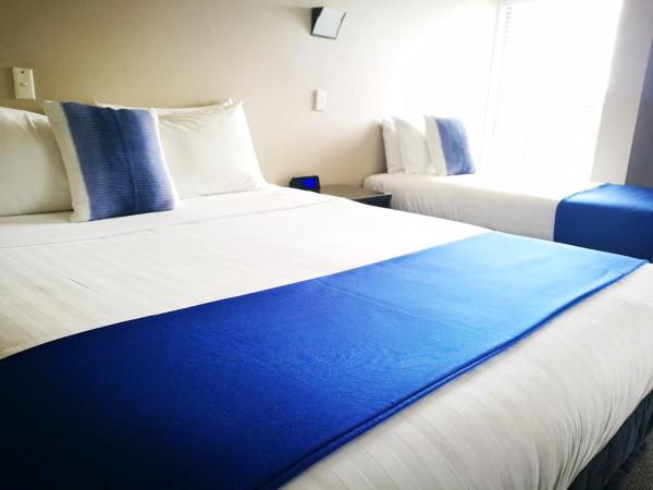 Belmont Motor Inn : photo 2 de la chambre suite 1 chambre lit king-size avec baignoire spa