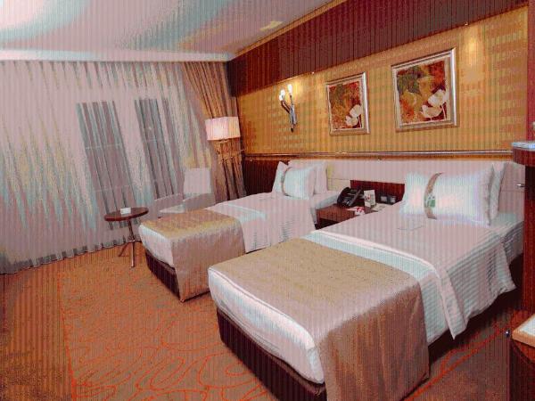 Holiday Inn Ankara-Kavaklidere, an IHG Hotel : photo 2 de la chambre chambre standard