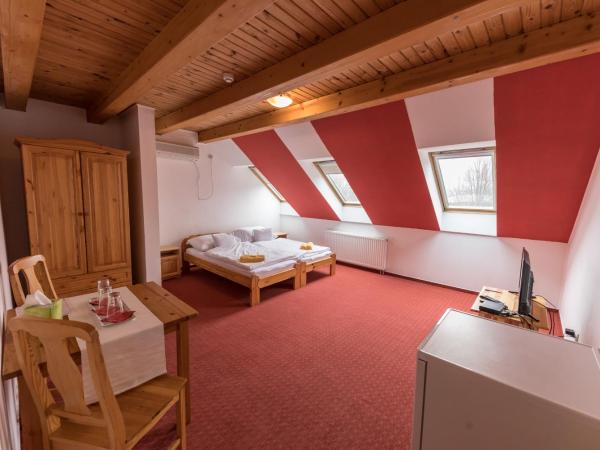 Grand Slam Park Inn : photo 2 de la chambre appartement 2 chambres