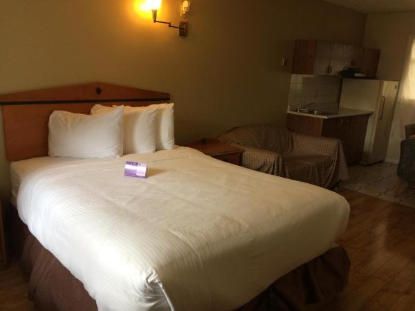 Nice Inn Edmonton : photo 1 de la chambre chambre lit queen-size - fumeurs
