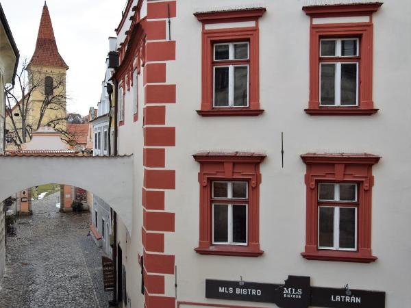 Pension Zámecká Apartmá - Castle Apartments : photo 6 de la chambre chambre quadruple