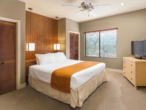 WorldMark Phoenix - South Mountain Preserve : photo 4 de la chambre suite 1 chambre