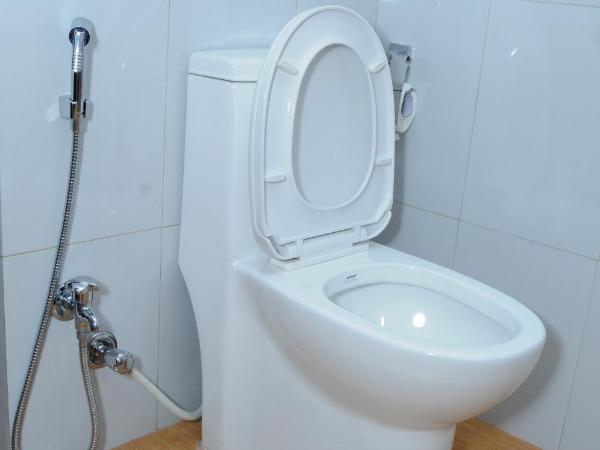 Hotel Bagmati : photo 4 de la chambre chambre triple deluxe