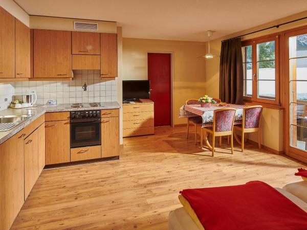 Hotel Central Wolter - Grindelwald : photo 2 de la chambre appartement standard