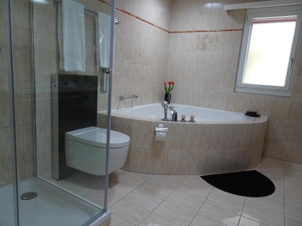 B & B Hartenfels 73 : photo 1 de la chambre chambre double avec salle de bains privative extérieure