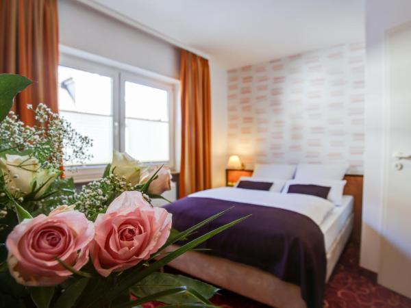 Rhein Neckar Hotel : photo 4 de la chambre chambre double standard