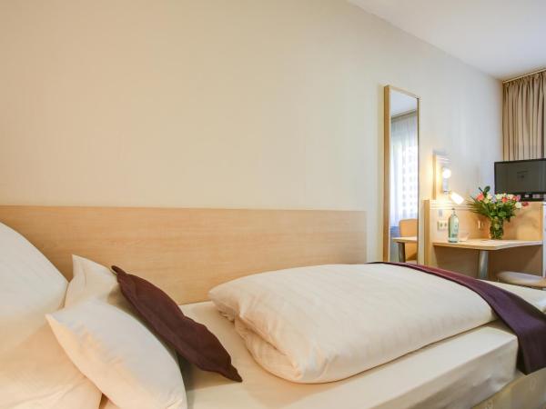 Rhein Neckar Hotel : photo 4 de la chambre chambre simple