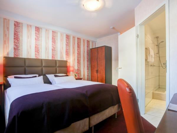 Rhein Neckar Hotel : photo 3 de la chambre chambre double standard