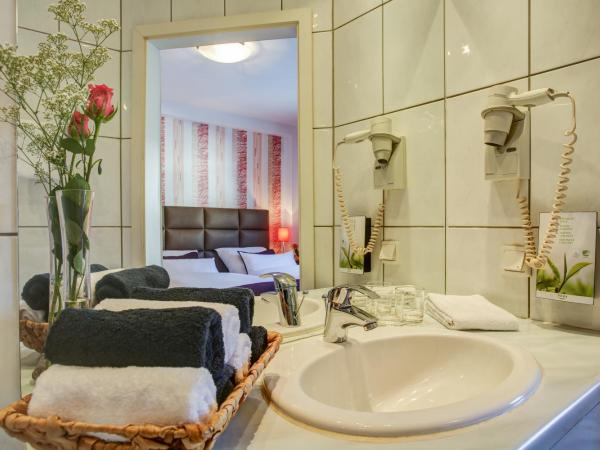 Rhein Neckar Hotel : photo 7 de la chambre chambre double standard