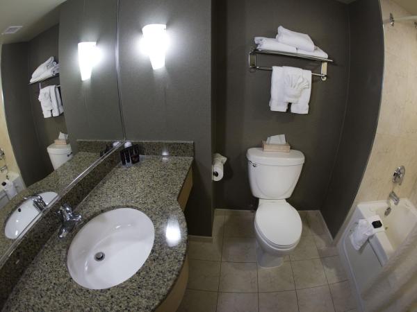 The Oakes Hotel Overlooking the Falls : photo 7 de la chambre chambre tour premium 2 lits queen-size - vue sur chutes