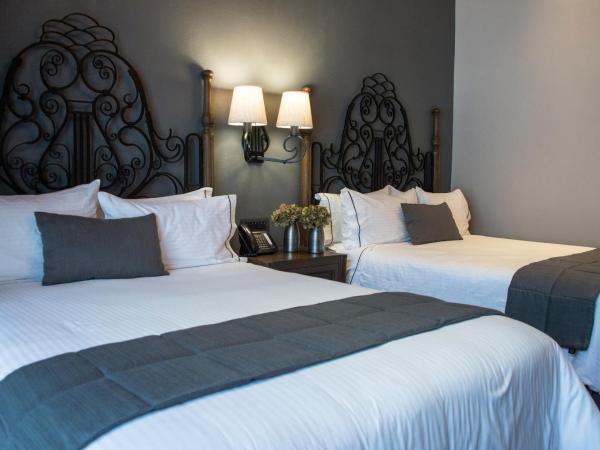 Zocalo Central & Rooftop Mexico City : photo 4 de la chambre chambre double familiale