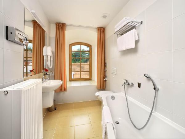 Hotel Mlýn : photo 3 de la chambre chambre double ou lits jumeaux - vue sur rivière