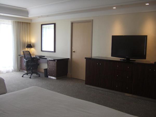 York Hotel : photo 5 de la chambre chambre quadruple premier