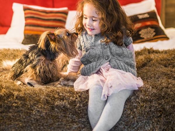 Rezydencja NOVA na Gubałówce : photo 2 de la chambre suite junior avec terrasse
