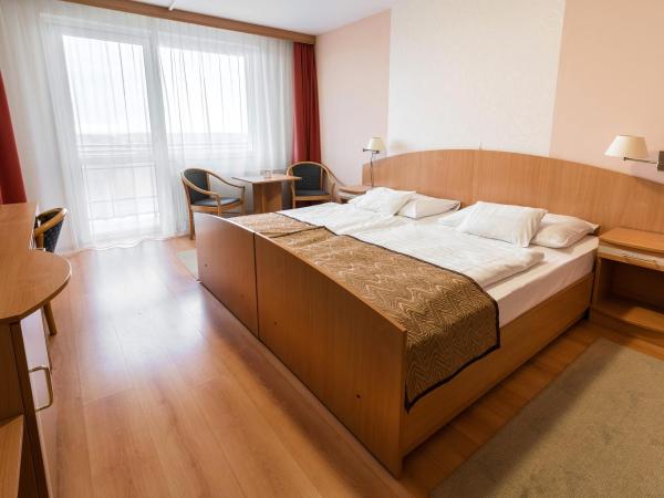 Hotel Barátság : photo 4 de la chambre chambre double (plus 1 lit d’appoint)