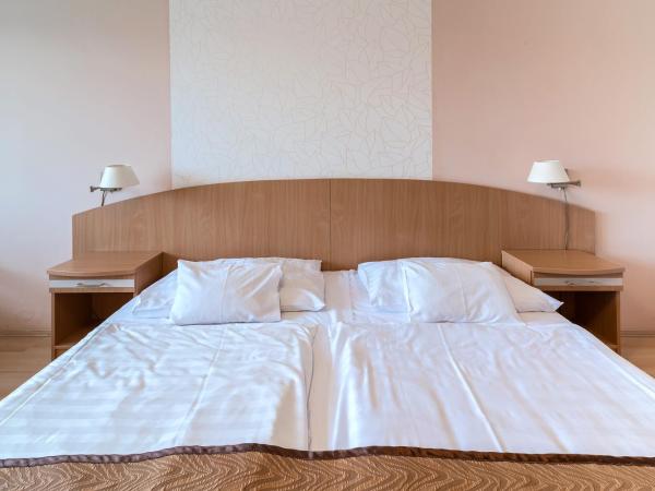 Hotel Barátság : photo 6 de la chambre chambre double (plus 1 lit d’appoint)