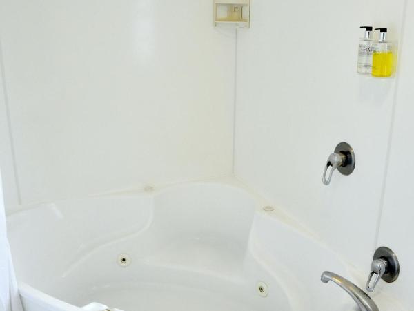 Fenton Court Motel : photo 1 de la chambre studio