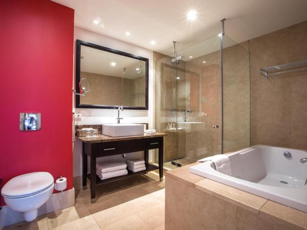 Radisson Blu Hotel, Antwerp City Centre : photo 7 de la chambre appartement
