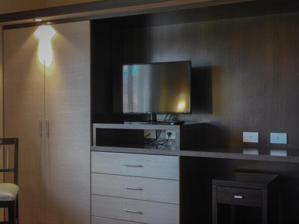 Hotel Ankara Suites : photo 6 de la chambre appartement (3 adultes)