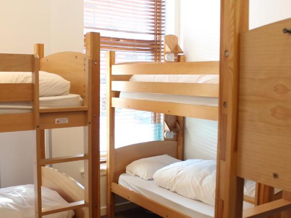 Edinburgh Central Accommodation : photo 5 de la chambre lit dans dortoir pour femmes de 6 lits