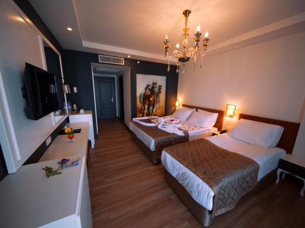 Sey Beach Hotel & Spa : photo 2 de la chambre chambre triple