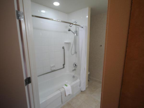 Best Western Plus Suites Downtown Calgary : photo 5 de la chambre chambre lit queen-size - accessible aux personnes à mobilité réduite