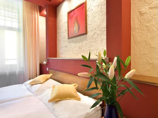 Spa & Wellness Hotel St. Moritz : photo 1 de la chambre chambre double standard