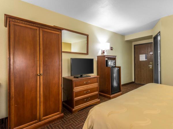 Quality Inn Colorado Springs South : photo 1 de la chambre chambre lit king-size avec canapé-lit - non-fumeurs