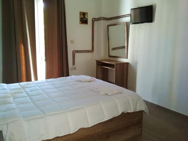 Beloni Apartments and Studios : photo 10 de la chambre chambre double ou lits jumeaux - vue sur jardin