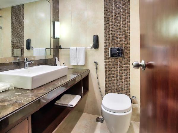 Radisson Jaipur City Center : photo 6 de la chambre superior double room:avail 10% discount on food (except dragon house) & soft beverages and laundry