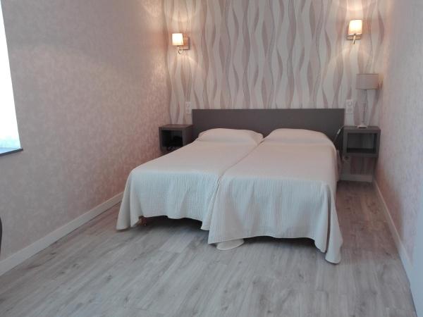 Beaune Hôtel : photo 3 de la chambre chambre lits jumeaux