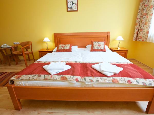 Hotel Járja : photo 6 de la chambre chambre standard lit queen-size