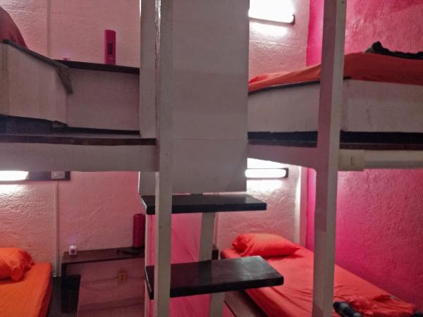 Iguana Hostel Oaxaca : photo 6 de la chambre lit dans un dortoir de 4 lits
