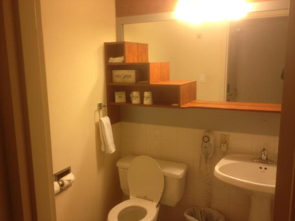 Hotel Chrome Montreal Centre-Ville : photo 5 de la chambre chambre double - accessible aux personnes à mobilité réduite - non-fumeurs