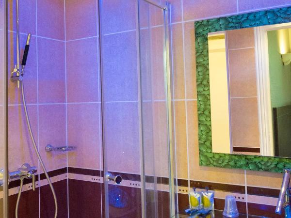 Hôtel Le Home Saint Louis : photo 2 de la chambre chambre double