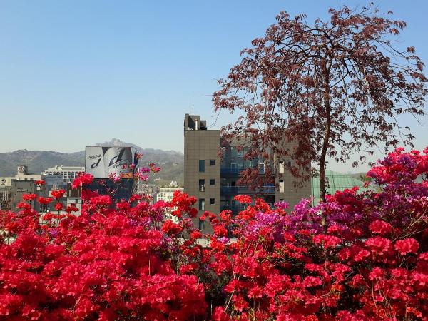 Rian Hotel : photo 1 de la chambre chambre double standard