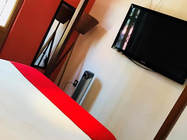 Azul Cielo Hostel : photo 5 de la chambre suite lit king-size avec balcon