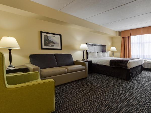 Country Inn & Suites by Radisson, Niagara Falls, ON : photo 4 de la chambre suite studio avec lit king-size et canapé-lit - non-fumeurs