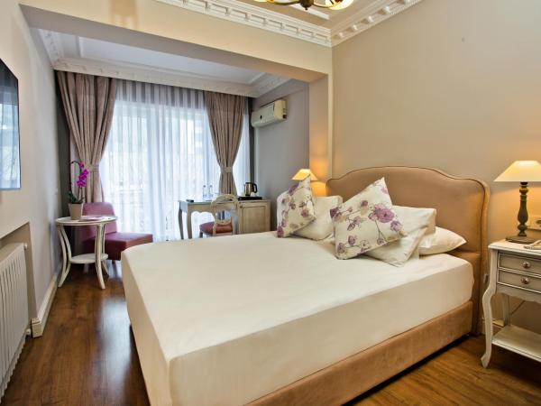 Villa Blanche Hotel SPA & Garden Pool : photo 1 de la chambre chambre double