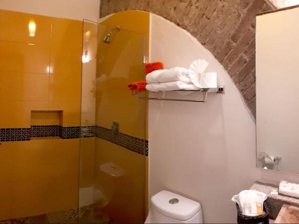 Hotel Boutique Posada XVII : photo 5 de la chambre chambre double