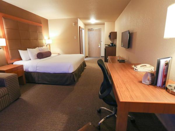 Days Inn by Wyndham Calgary Airport : photo 3 de la chambre chambre lit king-size - non-fumeurs