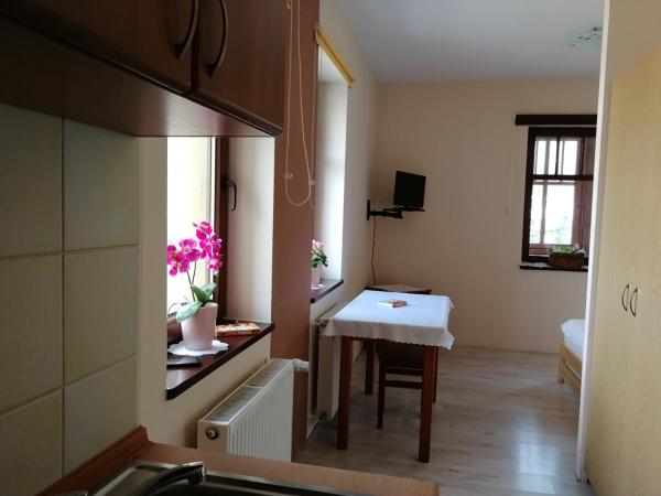 Rezydencja Na Skrócie : photo 2 de la chambre appartement