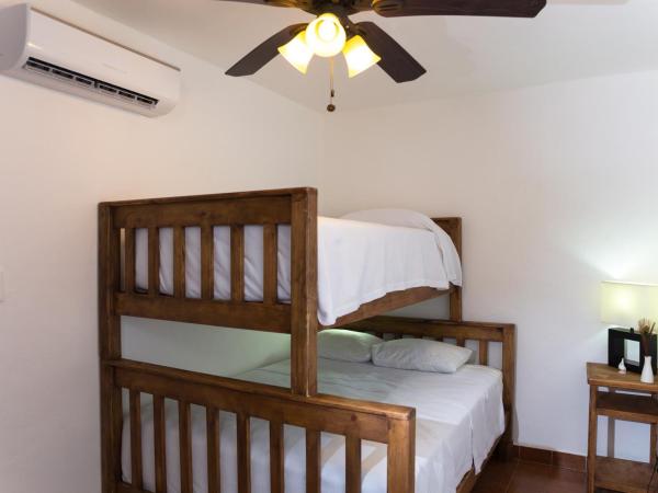 Hotel Villas Colibrí Suites & Bungalows : photo 3 de la chambre villa 3 chambres dans centre-ville de cozumel - villas colibri 3