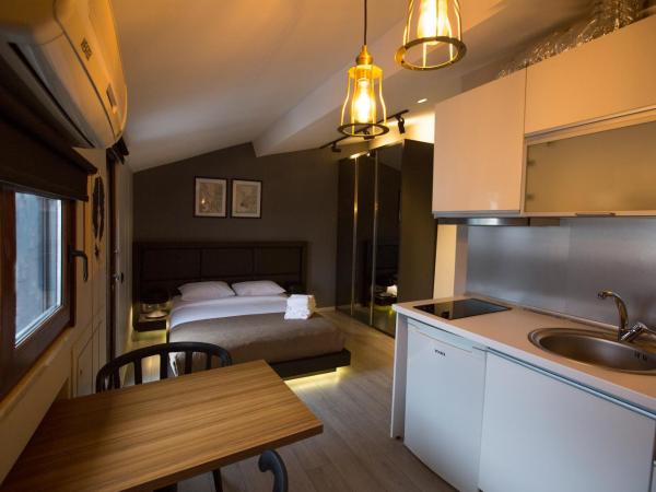 Cityloft 36 : photo 2 de la chambre studio avec terrasse